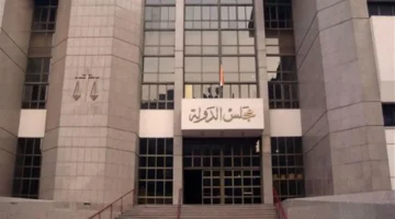 إعلان توظيف.. شروط وظائف مجلس الدولة 2025 لخريجي 3 كليات شهراً